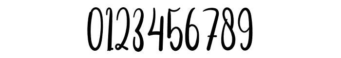 Surfing Signature Font OTHER CHARS