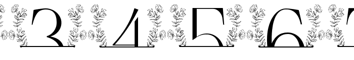 Sweet Bloom Line Monogram Font OTHER CHARS