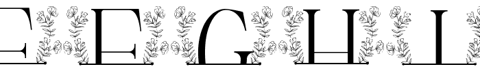 Sweet Bloom Line Monogram Font LOWERCASE