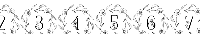 Sweet Spring Monogram Font OTHER CHARS