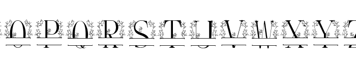 Sweet Vine Monogram Font LOWERCASE