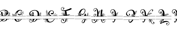 Sweety Craft Monogram Two Font LOWERCASE