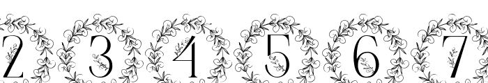 Swirl Leaf Monogram Font OTHER CHARS