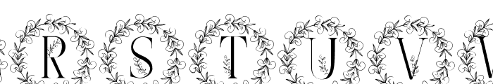 Swirl Leaf Monogram Font LOWERCASE