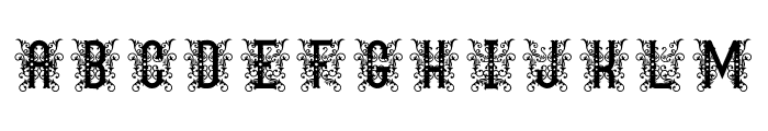 TCircusShow Monogram Flourish Font LOWERCASE