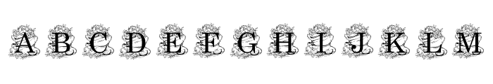 TEA  TIME Font LOWERCASE