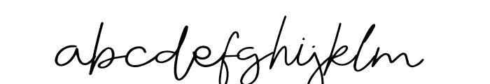 THE SIGNATURE NEW Font LOWERCASE