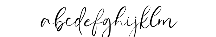 TXCD Signature Font LOWERCASE