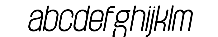Tanaka-Italic Font LOWERCASE