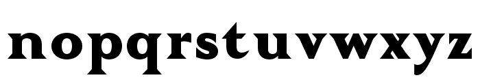 Tautz ExtraBold Font LOWERCASE