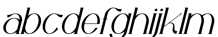 Tenaka Italic Font LOWERCASE