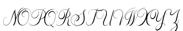 The Adelyne Script Font UPPERCASE