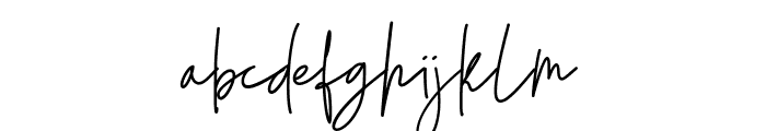 The Barthon Signature Font LOWERCASE