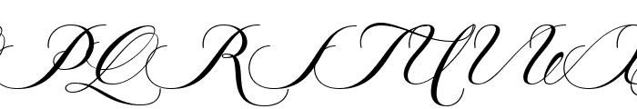 The Erllegatte Regular Font UPPERCASE