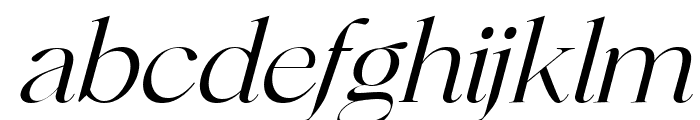 The Hourse Serif Italic Font LOWERCASE