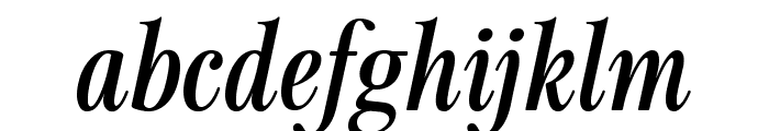 The Maginia  Italic Font LOWERCASE