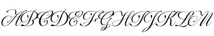 The Marten Mansion Script Font UPPERCASE