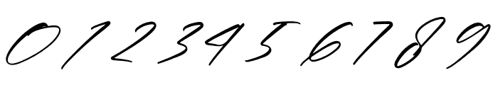 The Pablo Meganta Signature Font OTHER CHARS