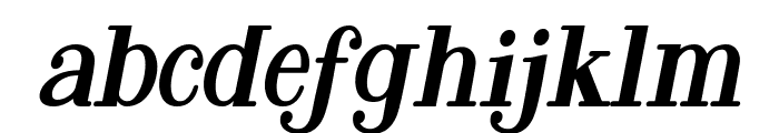 The Raflesia Arnoldy Italic Font LOWERCASE