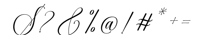 The Ragland Script Font OTHER CHARS