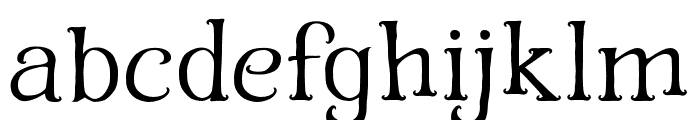 The Spokill Regular Font LOWERCASE