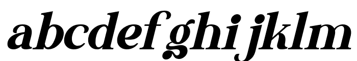 The Thesla Ohago Italic Font LOWERCASE