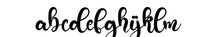The Wedding  Guest Font LOWERCASE
