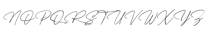 The Wedding Signature Regular Font UPPERCASE