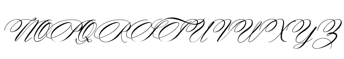 TheDonya-Bold Font UPPERCASE