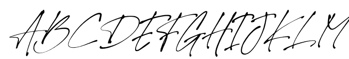 Theory of Signature Italic Font UPPERCASE