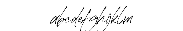 Theory of Signature Italic Font LOWERCASE