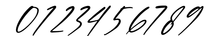 Thomson Signate Italic Font OTHER CHARS
