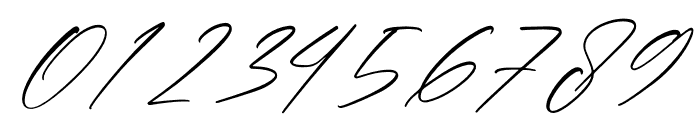 Thunderbold Signature Italic Font OTHER CHARS