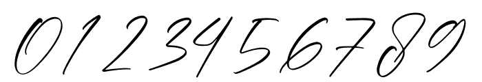 Thunderbold Signature Font OTHER CHARS