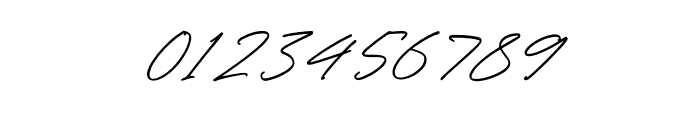 Tianila Italic Font OTHER CHARS