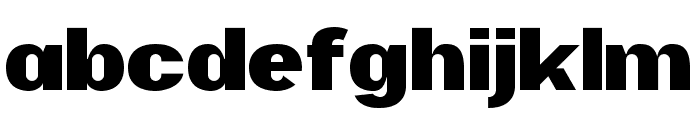 Tournets Regular Font LOWERCASE