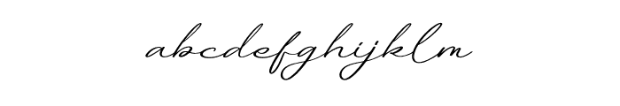 Tranquil Euphoric Script Font LOWERCASE