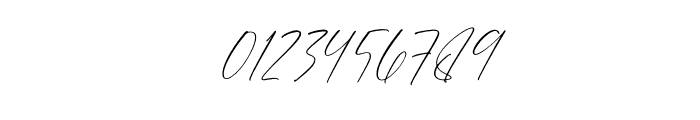 Transilvant Geraldis Italic Font OTHER CHARS