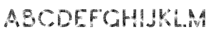 Tropicana Font LOWERCASE