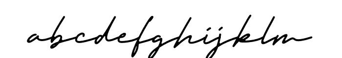 Trully Signature Font LOWERCASE