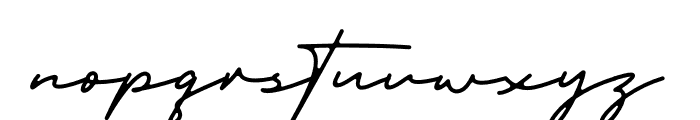 Trully Signature Font LOWERCASE