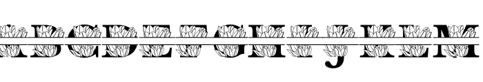 Tulip MNGRM Split Font LOWERCASE