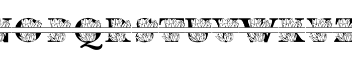 Tulip MNGRM Split Font LOWERCASE