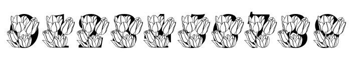 Tulip MNGRM Font OTHER CHARS