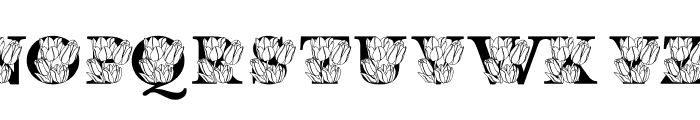 Tulip MNGRM Font UPPERCASE