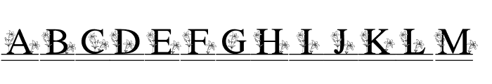 fontPreview