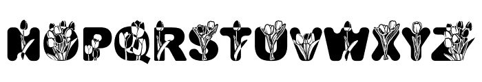 Tulip Font LOWERCASE