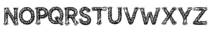 Twisted Rope By Squeeb  Regular Font UPPERCASE