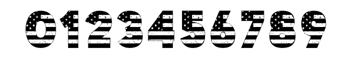 USA Flag Grunge Font Regular Font OTHER CHARS