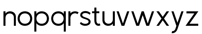 VactorySans-Light Font LOWERCASE